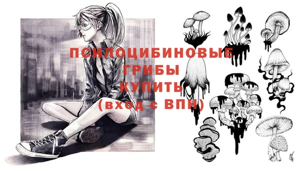 дурь Горнозаводск