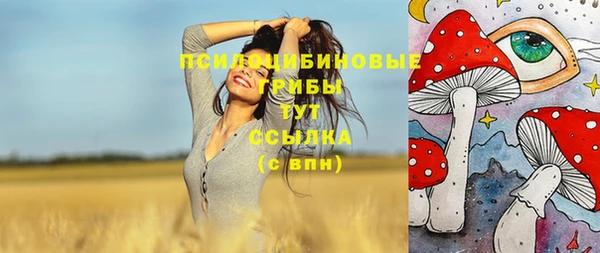 соль ск Горно-Алтайск