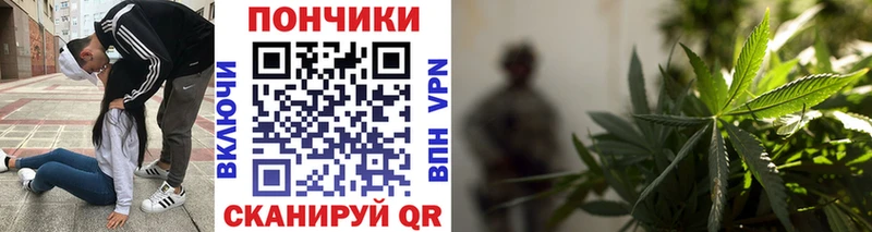 Купить где Моздок Бошки марихуана индика